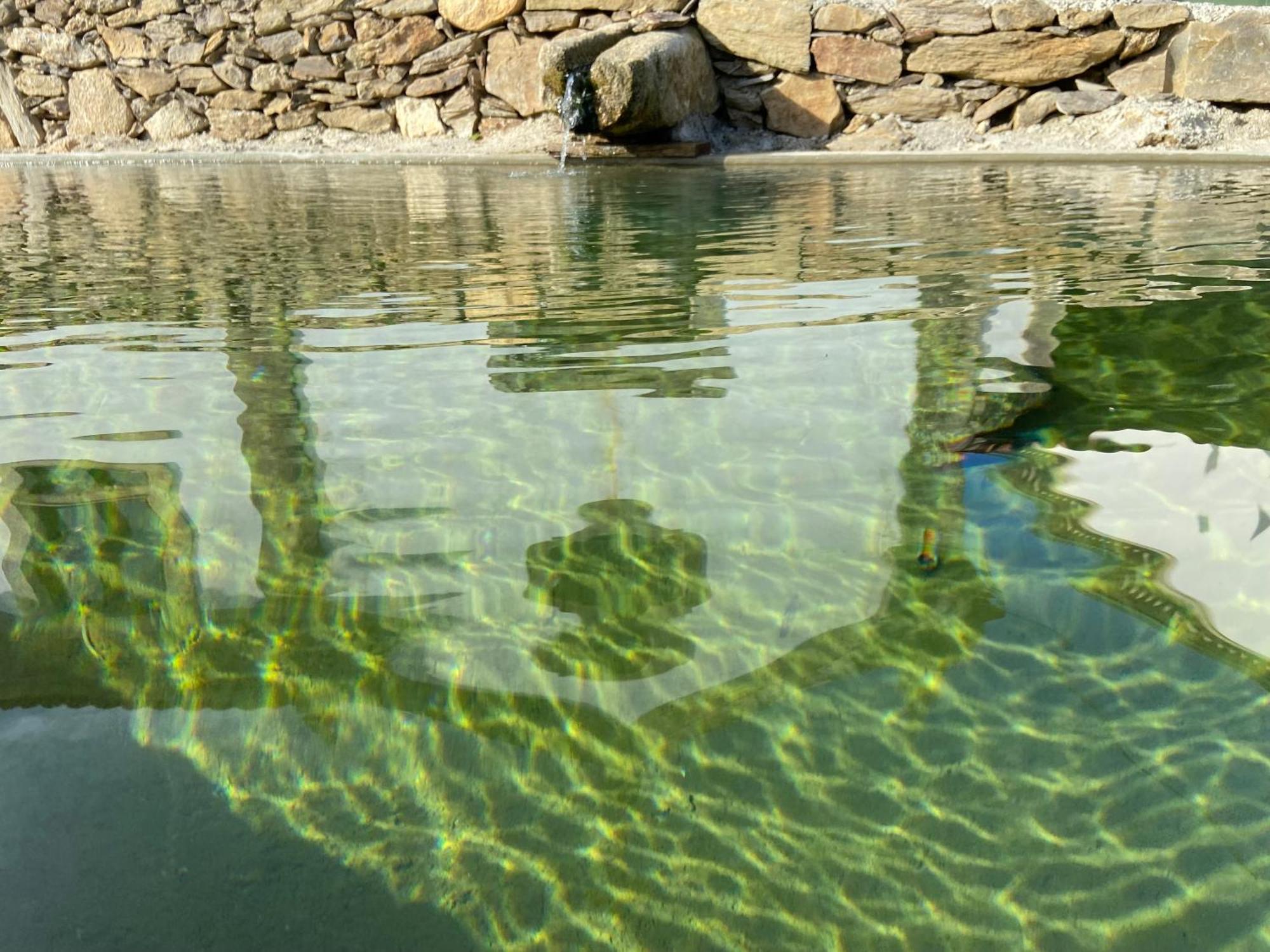 Casa Da Gandara Villa Ponte de Lima Dış mekan fotoğraf